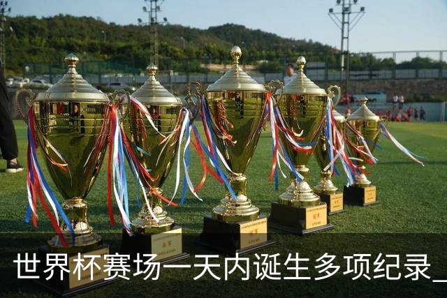 世界杯赛场一天内诞生多项纪录 梅西再迎里程碑
